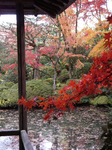 Japan - Temples & Gardens #3