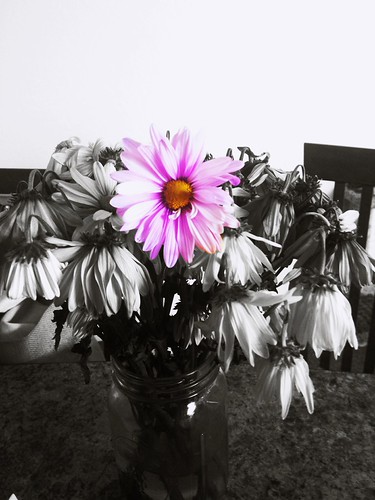 Stand Tall | by ordinarylittlethings