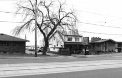 Historic photo from Wednesday, January 26, 1983 - Shore Breeze Motel - 1939 to 2009 - 2175 Lakeshore Blvd W. in Humber Bay