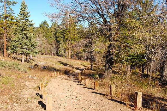 Pine Knot Trail