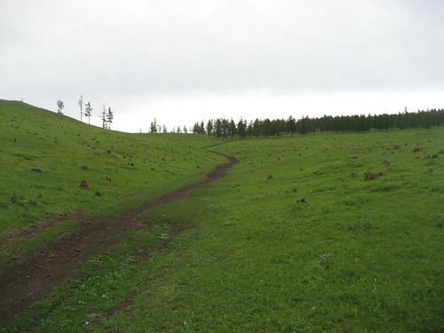 mongolia birchgrove