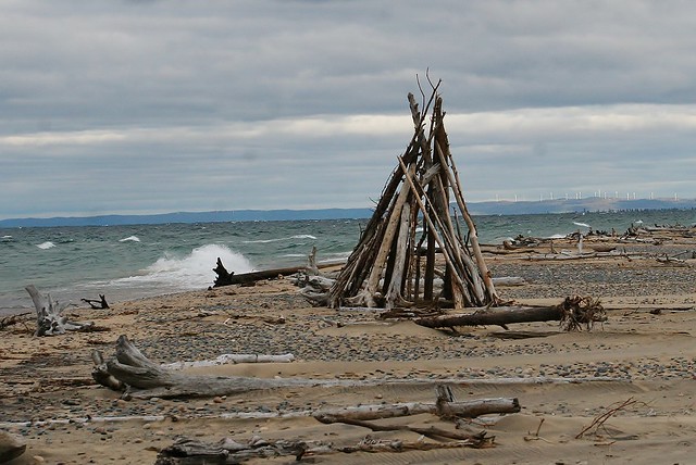 #84 Lake Superior Scene, Driftwood, Photo by Wes