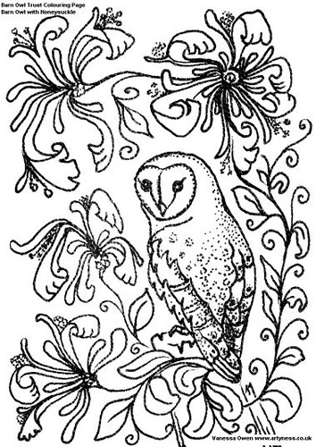 Barn Owl Trust Colouring Page | by Arty Ness