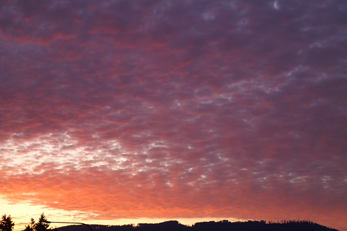 sun set 11 1 09 057 by dlcaines, Sunset from top of the Mottman Industal Parksunsets sunset11109