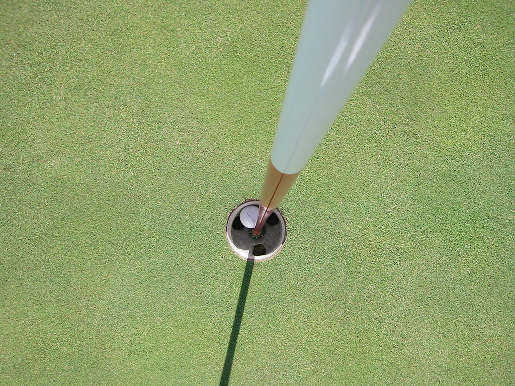 Ace! | A shot of my Hole In One on the Par 3 eighth hole at … | Flickr