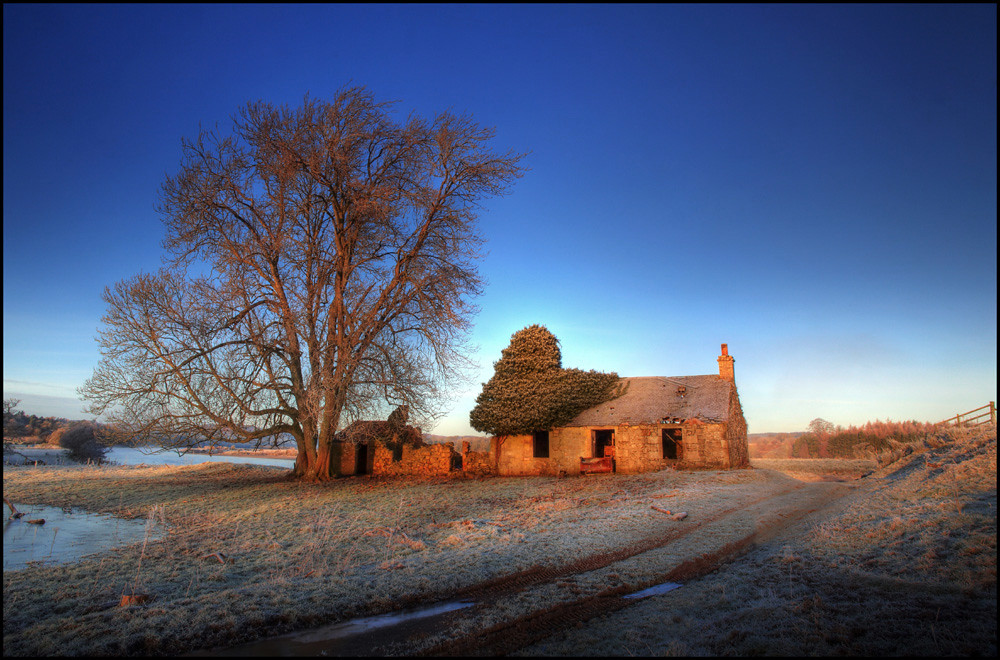 The Old House & The Red Tree by angus clyne