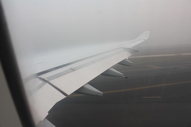 Mist on the Wing