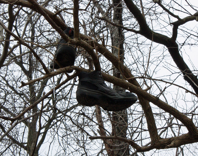 053/365 | Shoes In A Tree | Project 365/2010