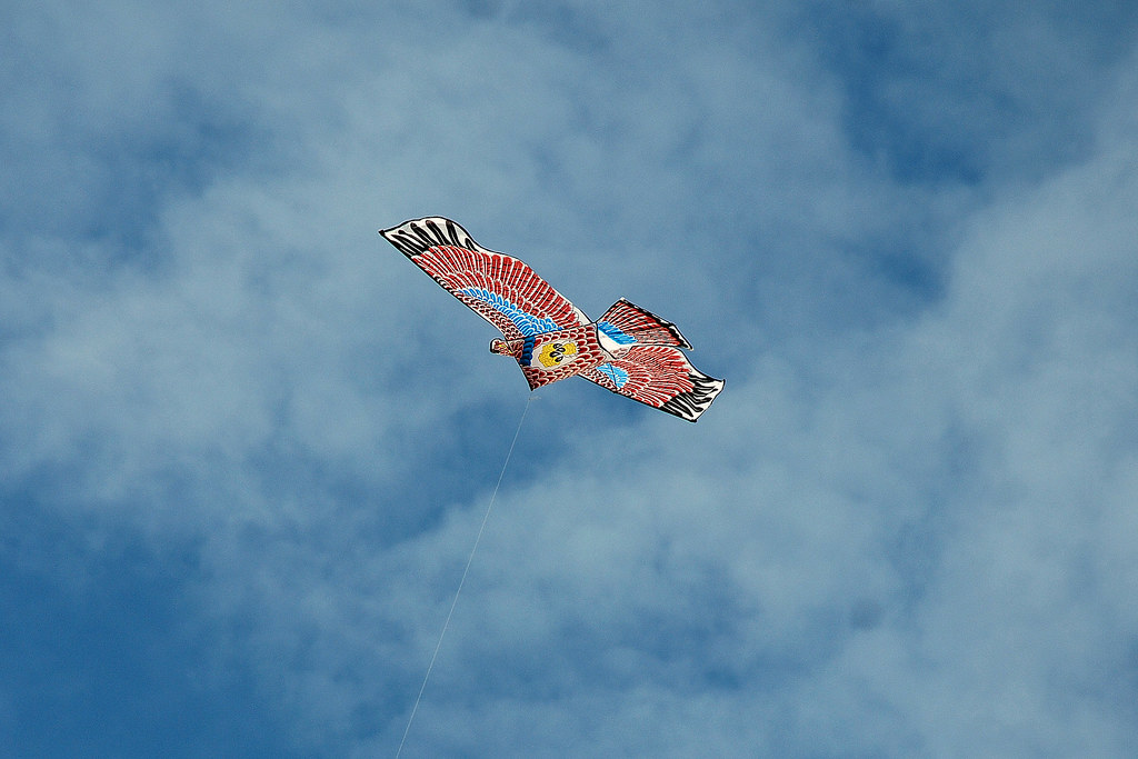 Kite Flying | Kite flying at the Batu Burok beach, Kuala Ter… | Flickr