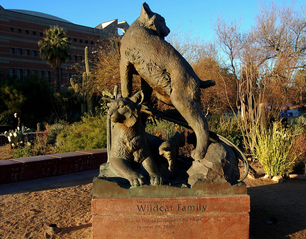 the-university-of-arizona-campus-in-tucson-jr-p-flickr