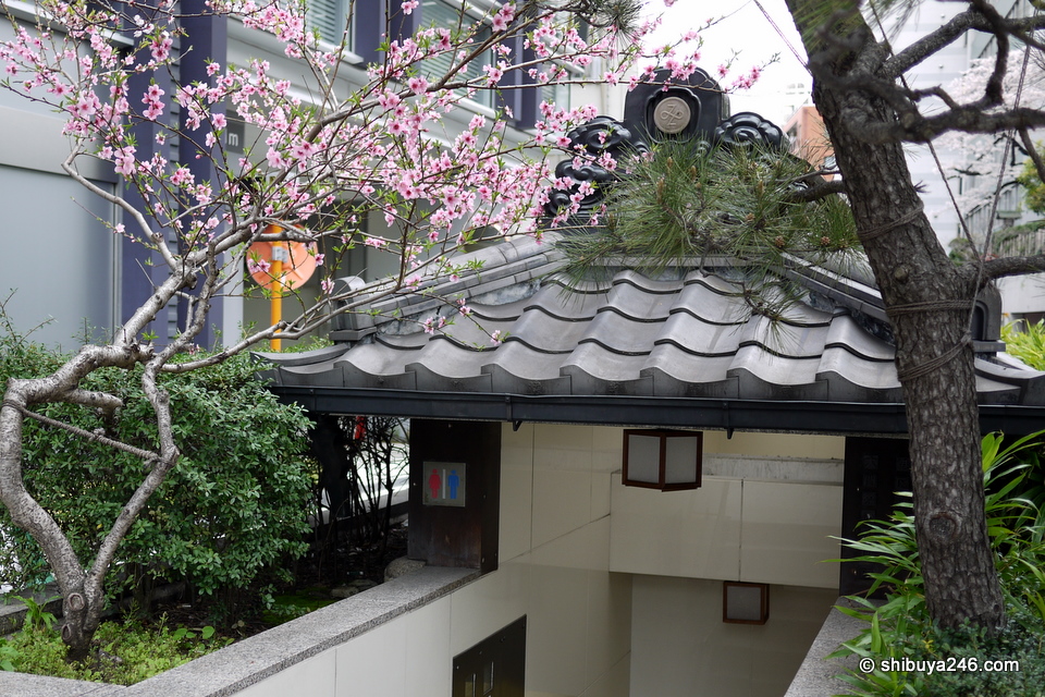 This is the entrance way going down. There are both mens and ladies toilets.