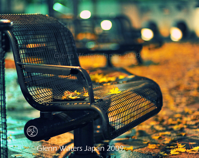 Bench in Autumn.  © Glenn Waters. Japan.  Over 22,000 visits to this photo.