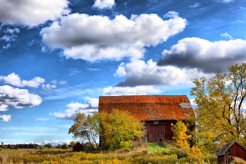 ontario fall colors georgetown farms milton fallcolours 5dmark2markiimk2mkii fallleaveschangingcolorinontariounderabluesky