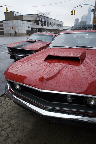 Boss Mustangs | by Dave Pinter