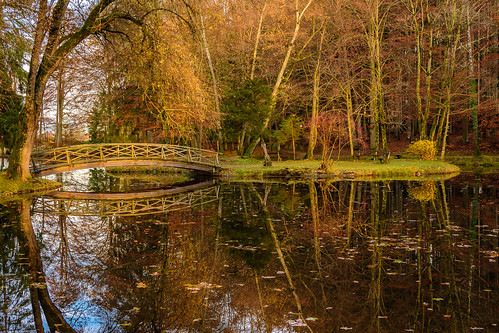 herbst tagesjahreszeiten zinneberg glonn bavaria autumn light bridge pond trees wood forest reflection