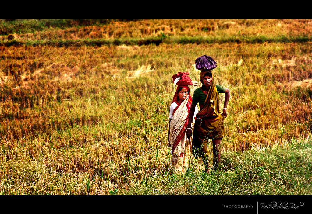 On Black: F A R M E R S by Rk Rao [Large]