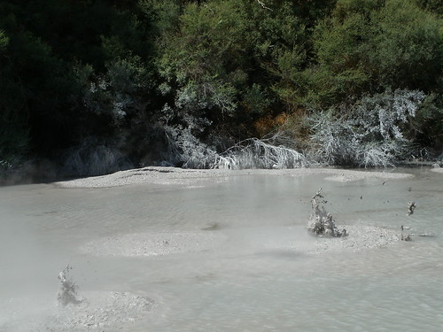 Boiling mud pool, North Island | by tattymat