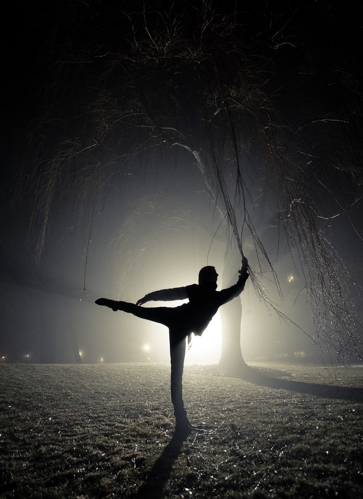 67/365 - Foggy [night] silhouettes by Light|n|motion | Ethan Caldwell