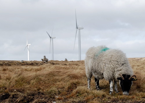 Scout Moor residents | by Larry Higgs