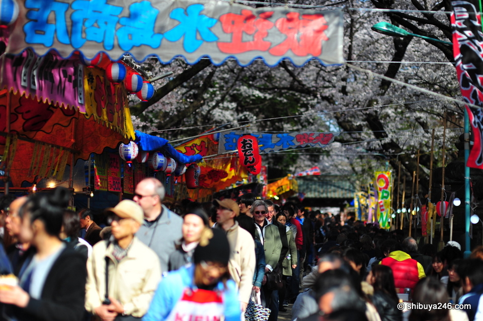 So many people passing down this thin walkway to the Shrine. The stalls selling food were doing a great trade.