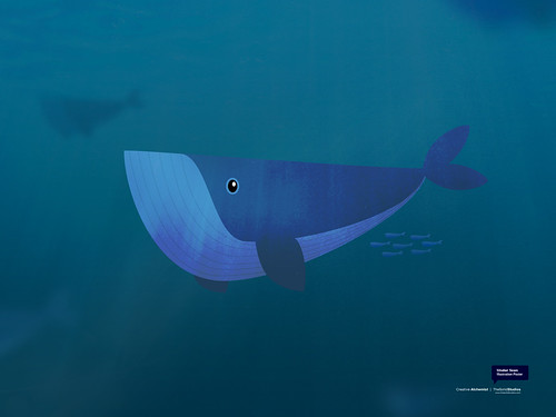 Under Seen | The Solid Studios | Flickr