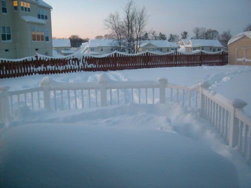 Backyard | by BlackenedBoy