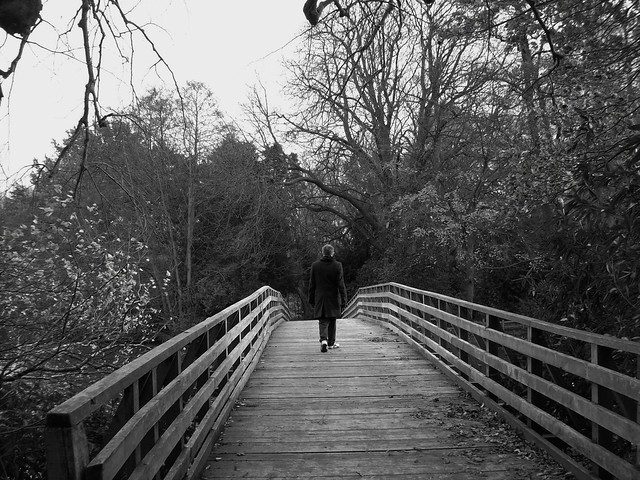 Man on a Bridge
