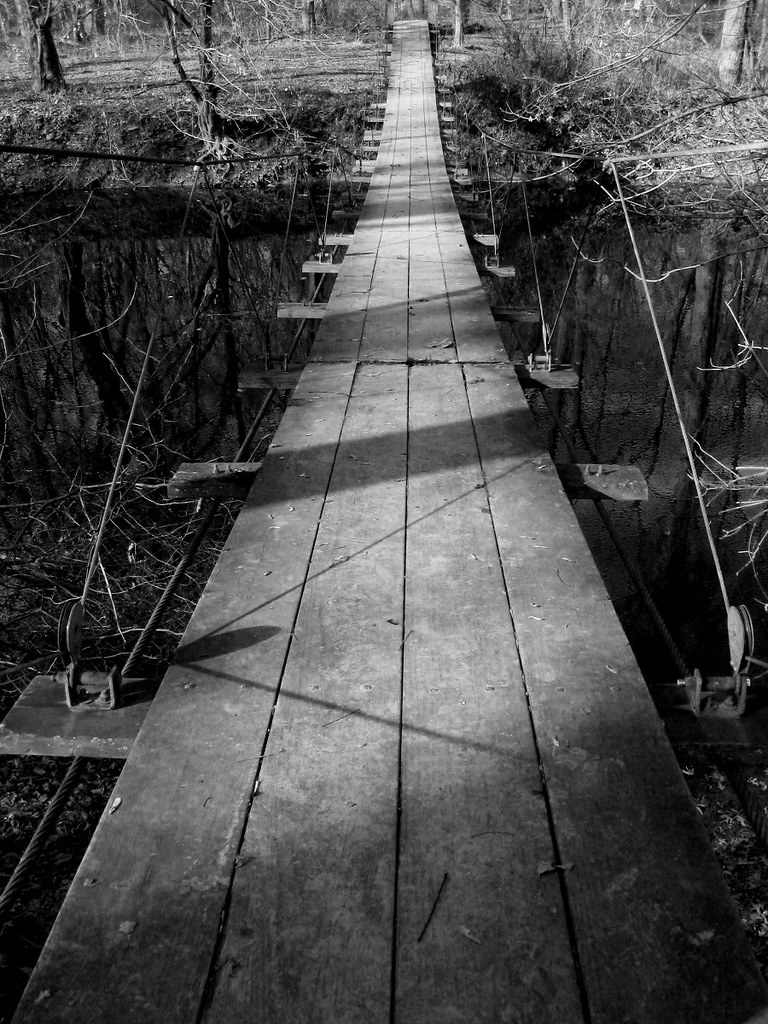 Suspension Footbridge by Dendroica cerulea