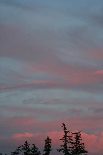 pink blue trees sky cloud silhouette digital canon wonder photography washington northwest south imaging bluehour lynnwood canonrebelxt starlight snohomishcounty starlite slamon