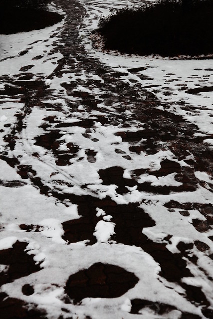 Footprints On Snow