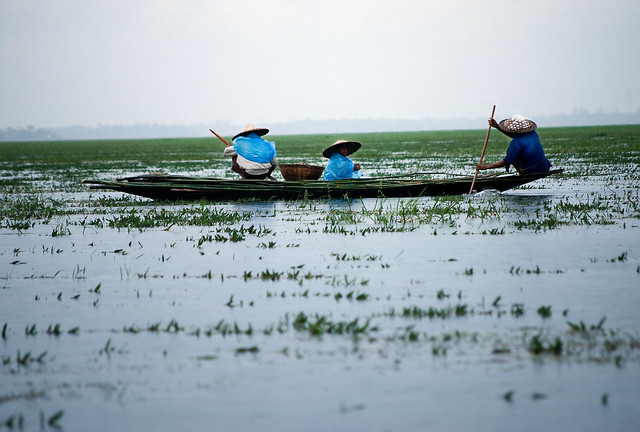 Boatmans of Tanguar Haor [Sunamganj, Bangladesh]