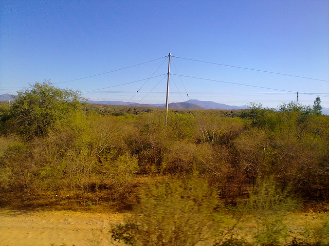 Sinaloa landscapes