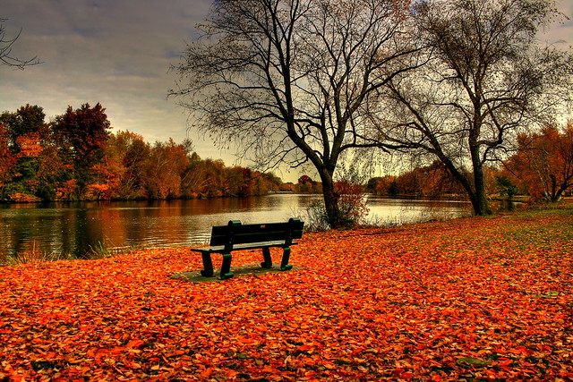 Autumn Memories!
