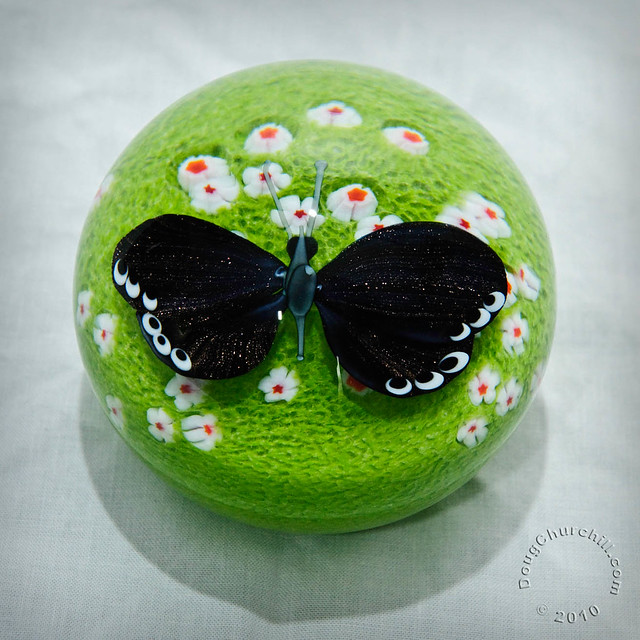 KCHO Premium Spring 2010 • Butterfly Globe