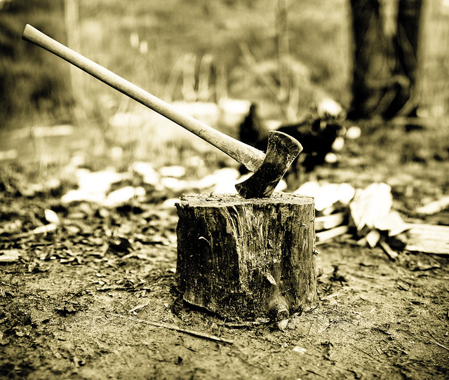 Axe in Stump - Chopping Firewood