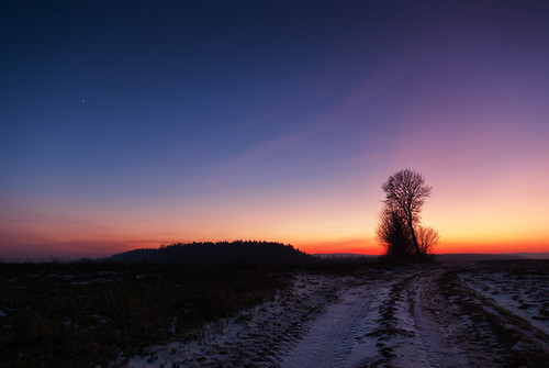 hnatkowice województwopodkarpackie polska winter sunrise sky bluehour bluesky night field tree