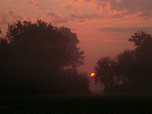 fog sunrise foggy