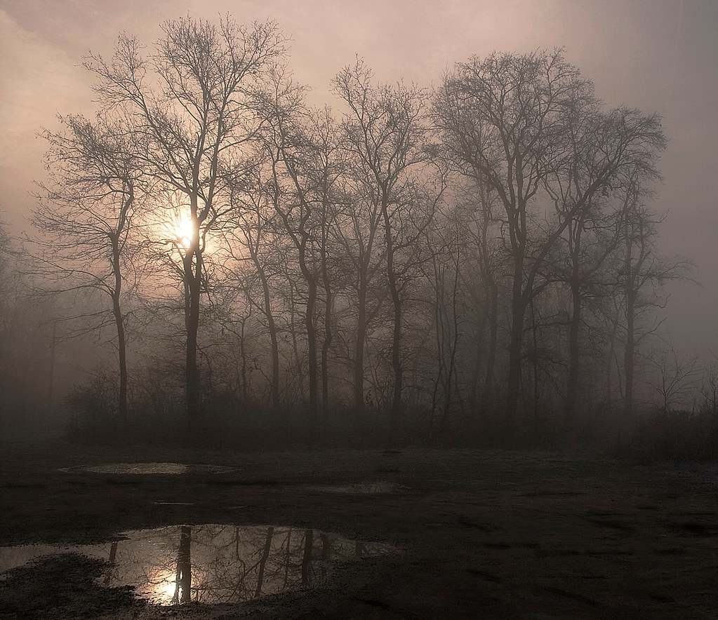 Calda nebbia.... by Claudio61 una foto ferma un ricordo nel tempo