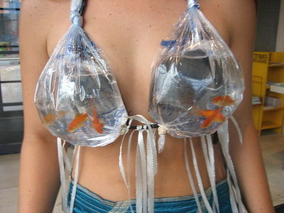 fish bra, brings a whole new definition to 'water bra