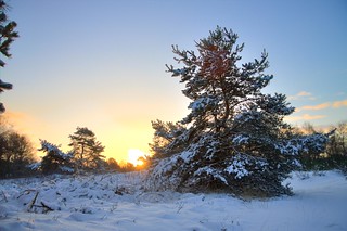 Havelte - Winter Wonderland - HDR