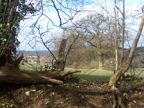 View through hedge Great Missenden to Amersham