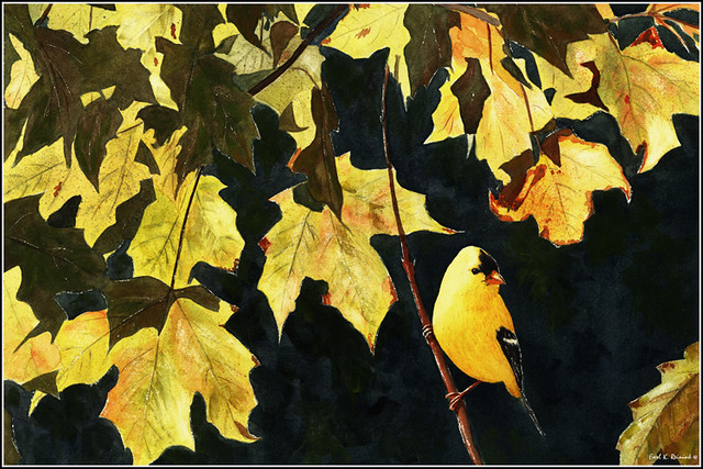Art 04-103 Autumn Gold