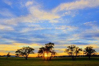 Sunset after the Show - #7765_3_4