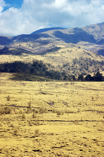 mountain yellow canon indonesia landscape ir tea valley plantation teh infrared westjava landrover papandayan pangalengan d60 canonef24105mmf4lisusm perkebunan mariaismawi sedep