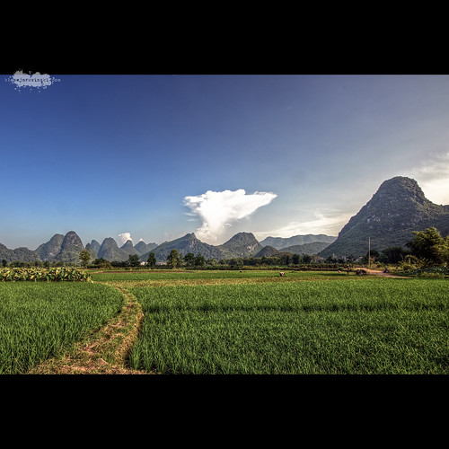 Yangshuo Rice Fields by Blazej Mrozinski