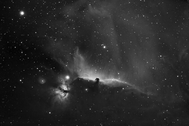 NGC2024, IC434/B33 -- H-alpha