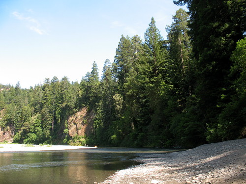 california nature water landscape stream humboldtcounty eelriver