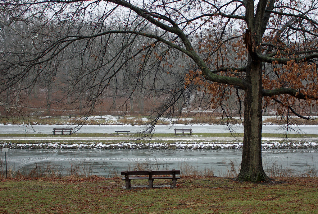 Winter Springfield Il Springfield IL - Mid-Winter Thaw in Washington Park (3 of 5) - a photo ...
