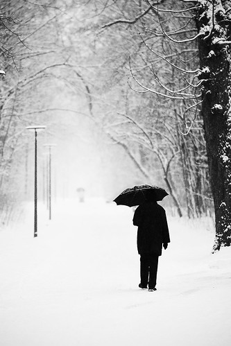 park white snow black tree umbrella person snowflakes blackwhite path 14 85mm 85 samyang explored54