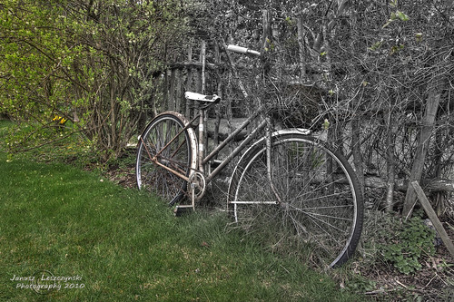 old green grass bike bicycle fence geotagged spring bush langley hdr approaching allergies janusz leszczynski antihistamines mixedcolorandbw 001940 geo:lat=49005842 geo:lon=122633858